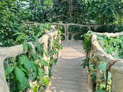 -南山植物园