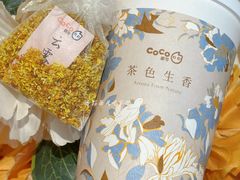 -CoCo都可(崇川万象城店)