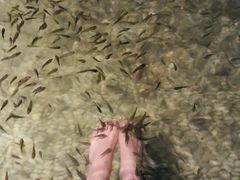 -明谷行馆·温泉