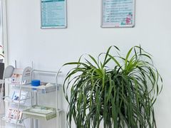 -派美特宠物医院·核磁CT·骨科肿瘤·疑难转诊(沈农禾丰店)