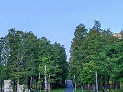 -四海公园(南山区)
