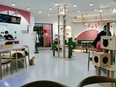 大堂-喵园·猫主题咖啡厅·撸猫·猫咖(国贸店)