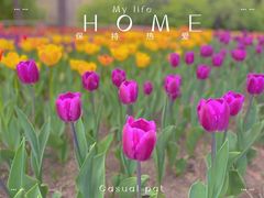 -长春公园(普阳街道)