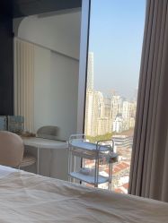 -BELLAREAL新美社