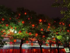 -临潼印象·特色陕菜