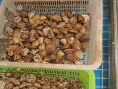 -和源祥·日照菜扛把子(万平口一店)