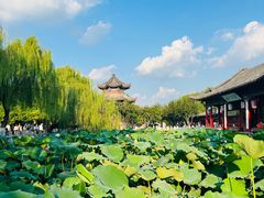 -济南大明湖景区