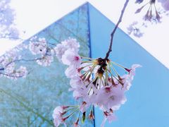 -龙美术馆(西岸馆)