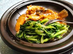 红烧巴鱼-蟹榭·本帮江浙菜·蟹宴(五角场合生汇商场店)