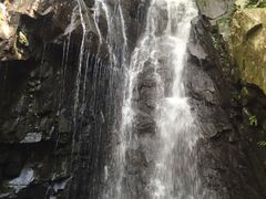 -藏龙百瀑风景区