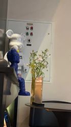 -玛莲朵·海菲秀冰珀科