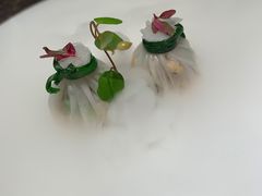 -觀芷隐轩