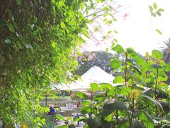 -墨尔本皇家植物园