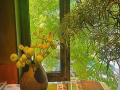 -一坐一忘云南菜(三里屯店)