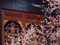 -青羊宫