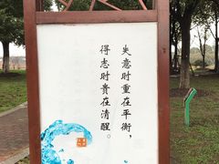 -荷塘月色湿地公园·向阳花洲