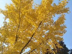 -好伦哥(温都水城店)