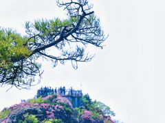 -光雾山旅游景区