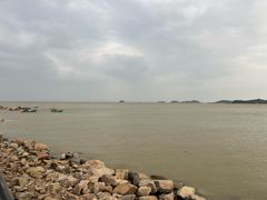 -野狸岛
