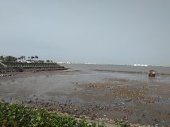 -海鸥岛