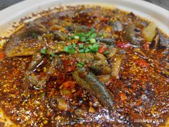 -情妹耙泥鳅·江湖川菜(科华店)