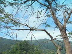 -海南热带雨林国家公园吊罗山景区
