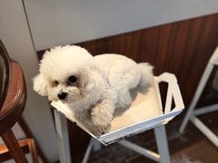 -默迹咖啡馆