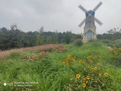 -铁山坪森林公园