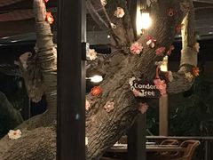 -卷心菜和避孕套餐厅(Pattaya)