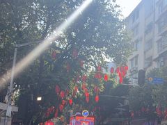 -越秀西湖花市(广州城市广场花卉店)