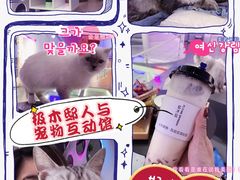-极木²邸 人与宠物·互动社区