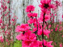 -华蓥山天意谷景区