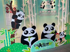 -石排湾郊野公园