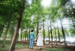 点击看大图 -太郎花子婚纱摄影艺术中心