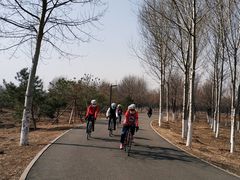 -东郊湿地公园