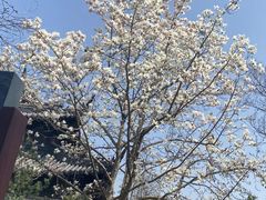 -狼山风景名胜区