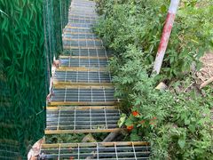 -康定跑马山风景区