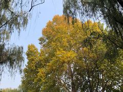 -西安市长乐公园