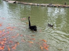 -南京金牛湖风景区