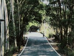 -白云山风景名胜区