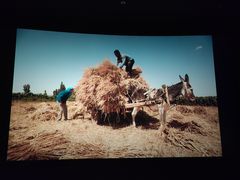 -新世界国际影城