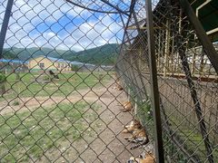 -横道河子东北虎林园