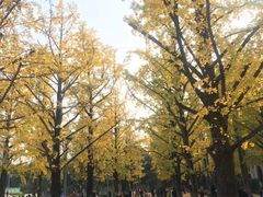 -百林公园-两江幸福广场