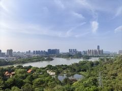-顺峰山公园