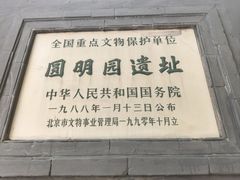 -护国寺小吃(护国寺总店)