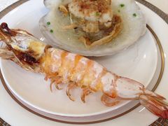 iphone_upload_pic-橄榄季酒店