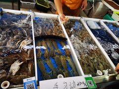 -南沙十九涌渔人码头-南门