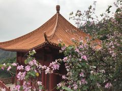 -南沙天后宫景区