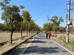 -广富林郊野公园