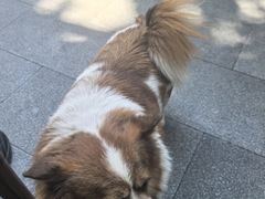 -老渔家鲜鱼轩(南浦横街店)